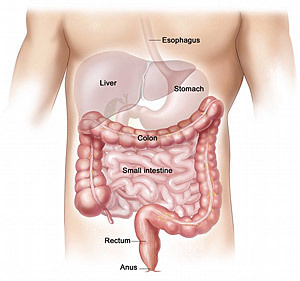 colon hydrotherapy waste