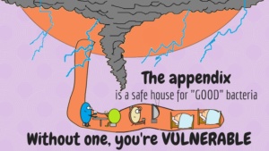 Appendix Safe House