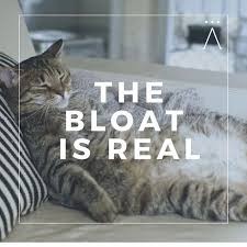 The-bloat-is-real