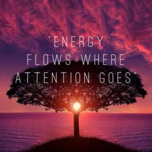Energy-flows-Attenting-Goes